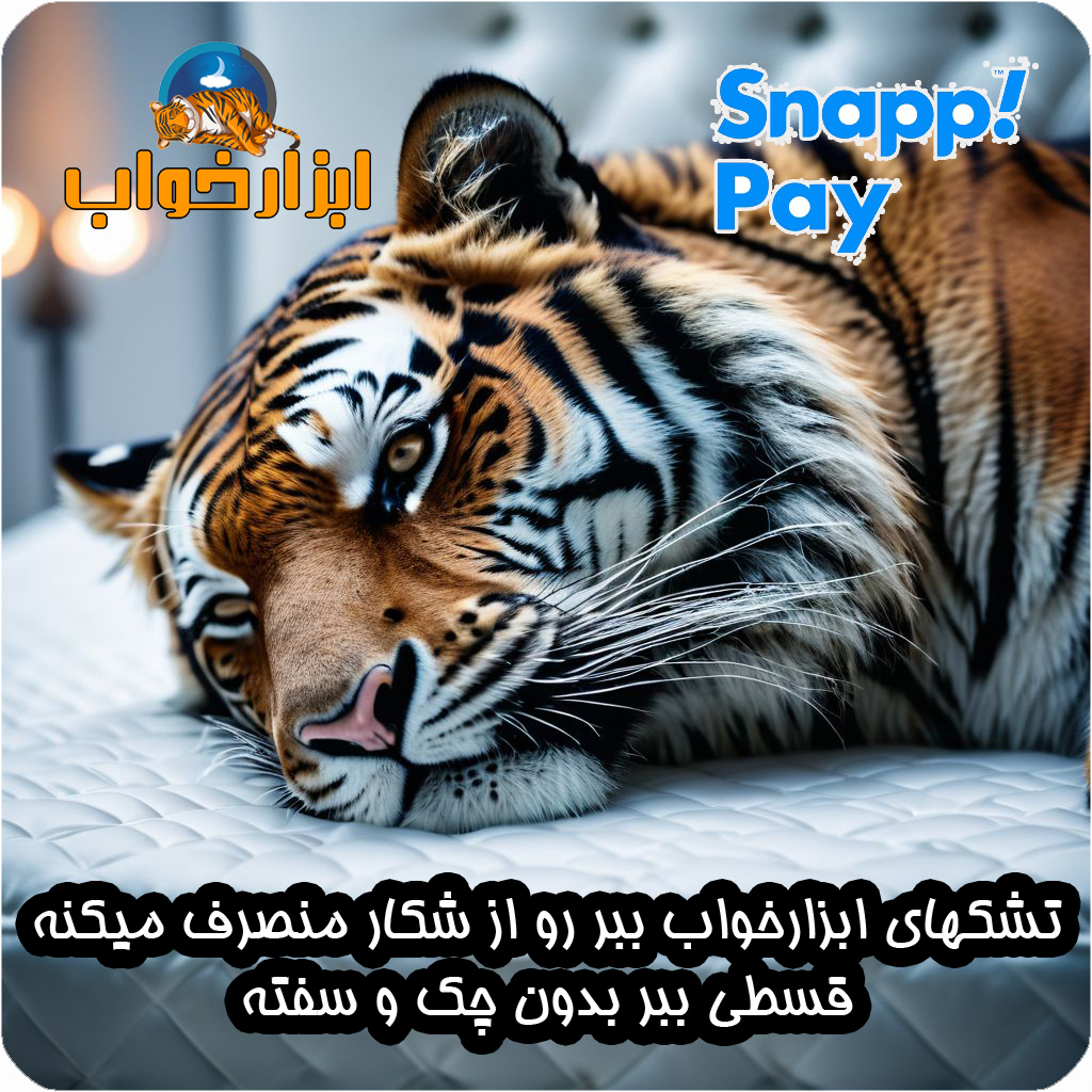 تشک ابزارخواب رویا رویال خوشخواب قیمت خرید و فروش تشک یکنفره و دونفره اقساط اسنپ پی بدون چک